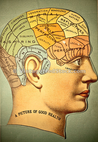 Phrenology & Pseudoscience