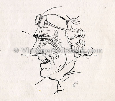 Facial Expression profile